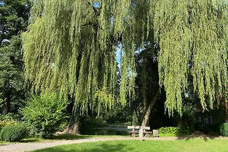 Erholungswald bei Walsrode
